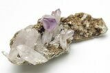 Amethyst Crystal Cluster - Las Vigas, Mexico #204645-1